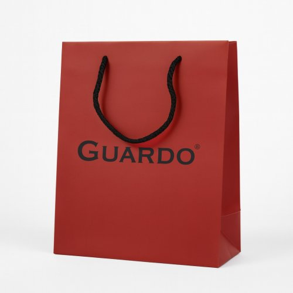 Годинник GUARDO 012694-1 silver-white