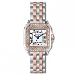  Жіночий годинник GUARDO 012830-5 silver-gold-white